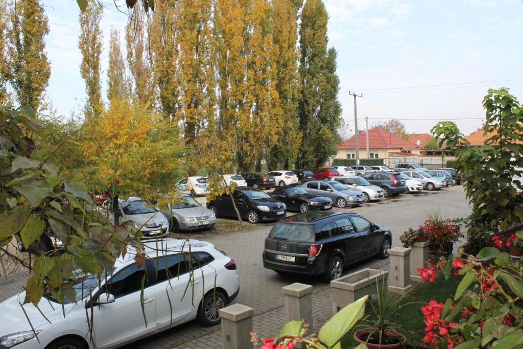 Bajor Panzio Bed and Breakfast Kecskemét Esterno foto